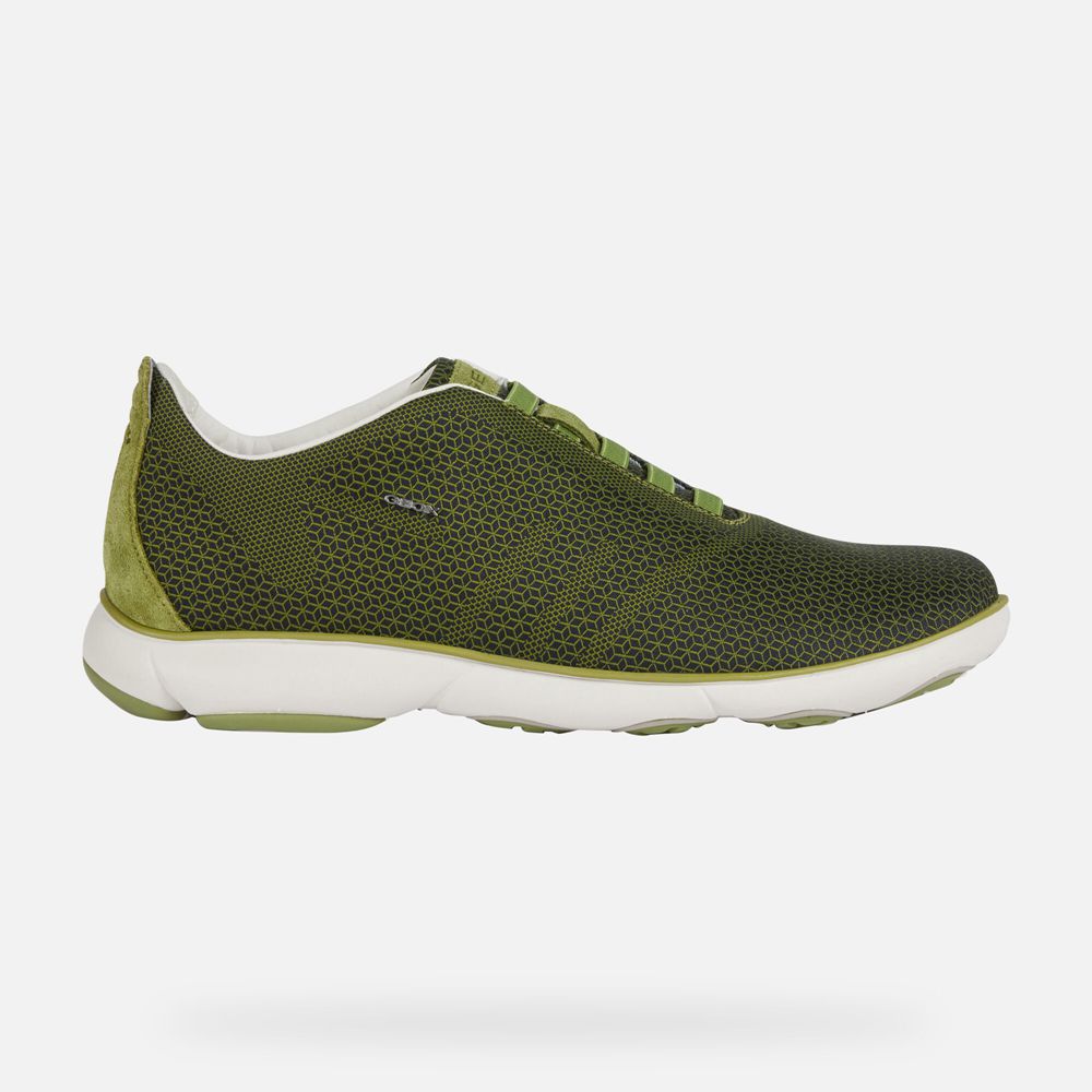 Tenis Geox Homem Verde Oliva - Nebula - ZQCHF2359